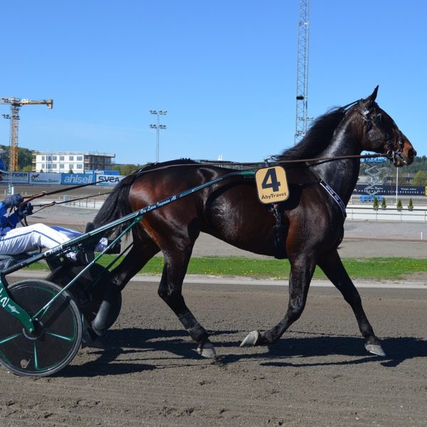 Stable Complex 1 – Individual Care