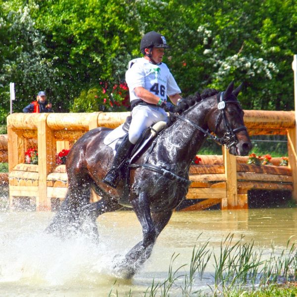 Stable Complex 3 – DIY